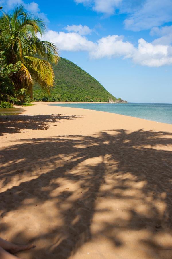 Lodge Coco Deshaies Esterno foto